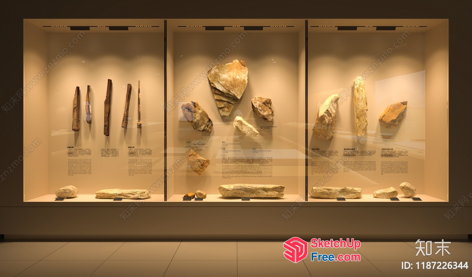 Museum Display Case Of Natural History Specimens 3D SketchUp File
