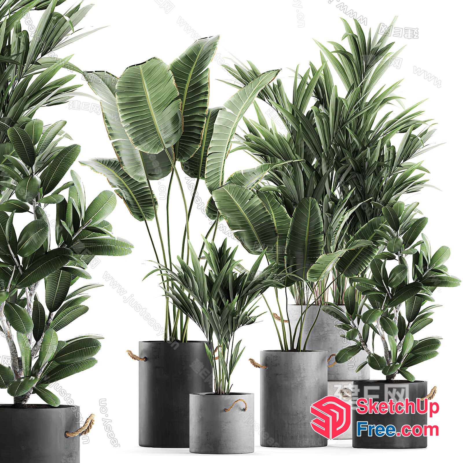 Tropical Plants Arranged In Modern Potted Decor 3D SketchUp File
