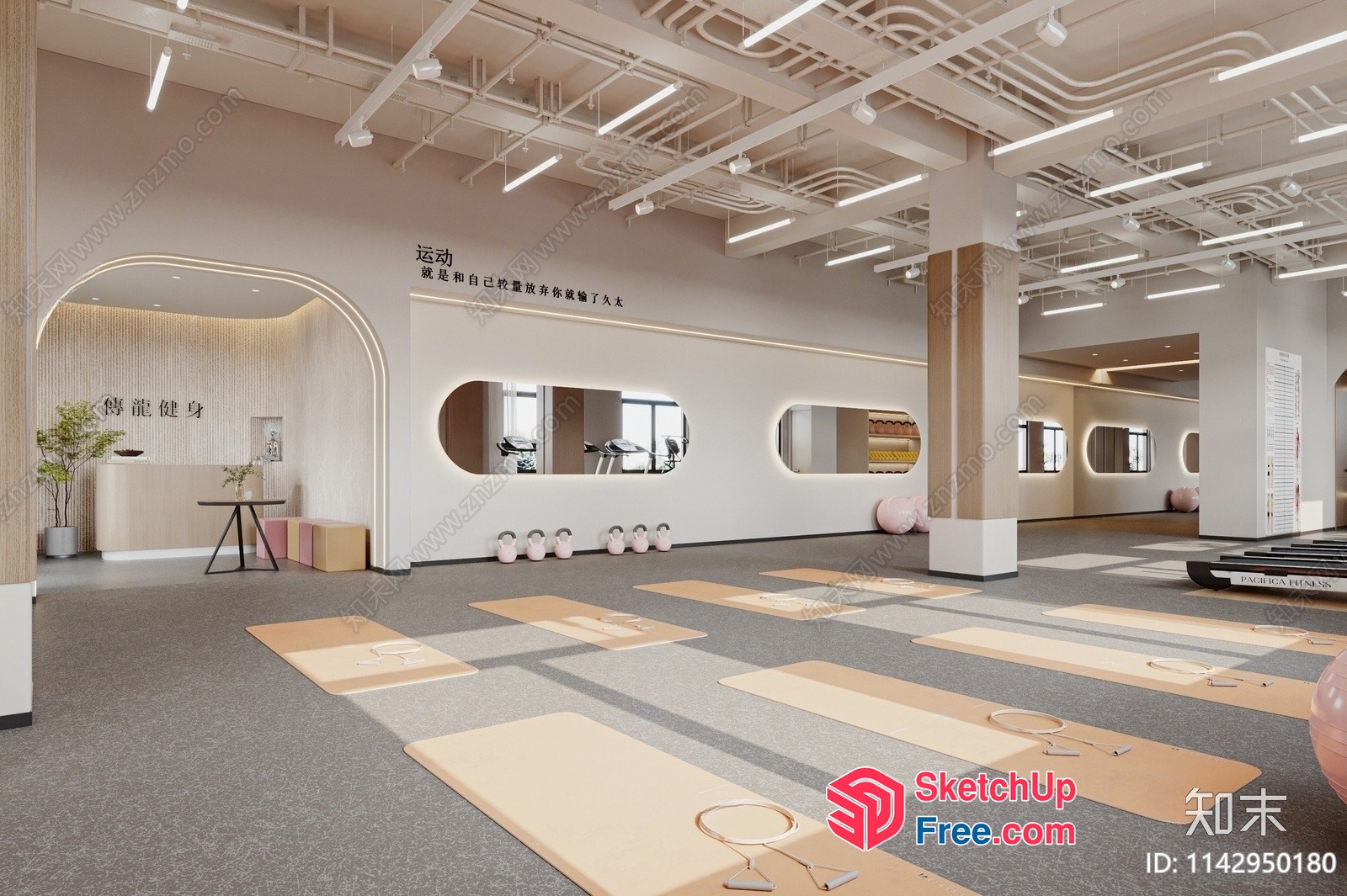 Modern Minimalist Exercise Room 3D SketchUp File