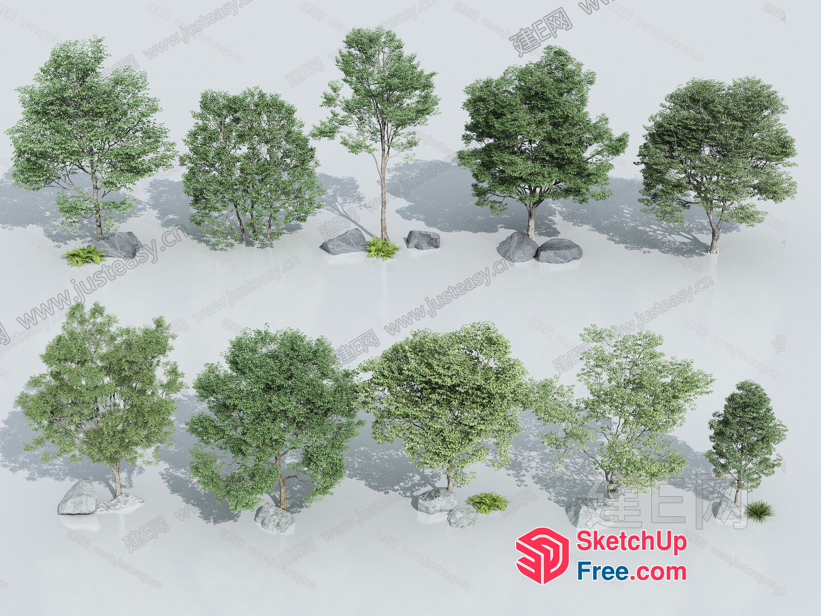 Trees In A Variety Of Shapes And Sizes 3D SketchUp File