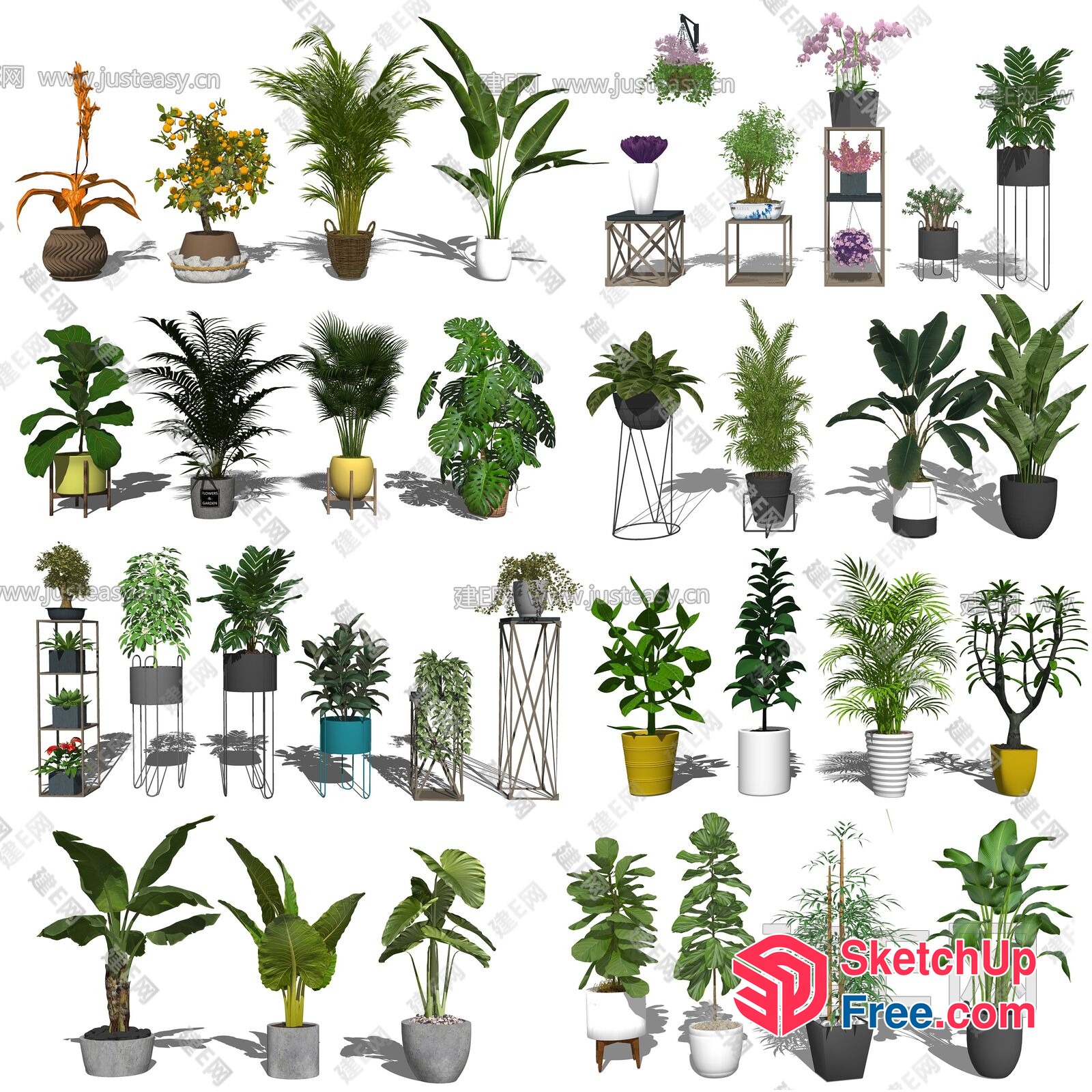 3D Models Of Various Plants And Potted Plants 3D SketchUp File