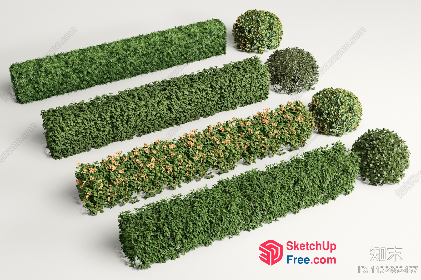 Exterior Decorative Hedge And Bushes 3D SketchUp File