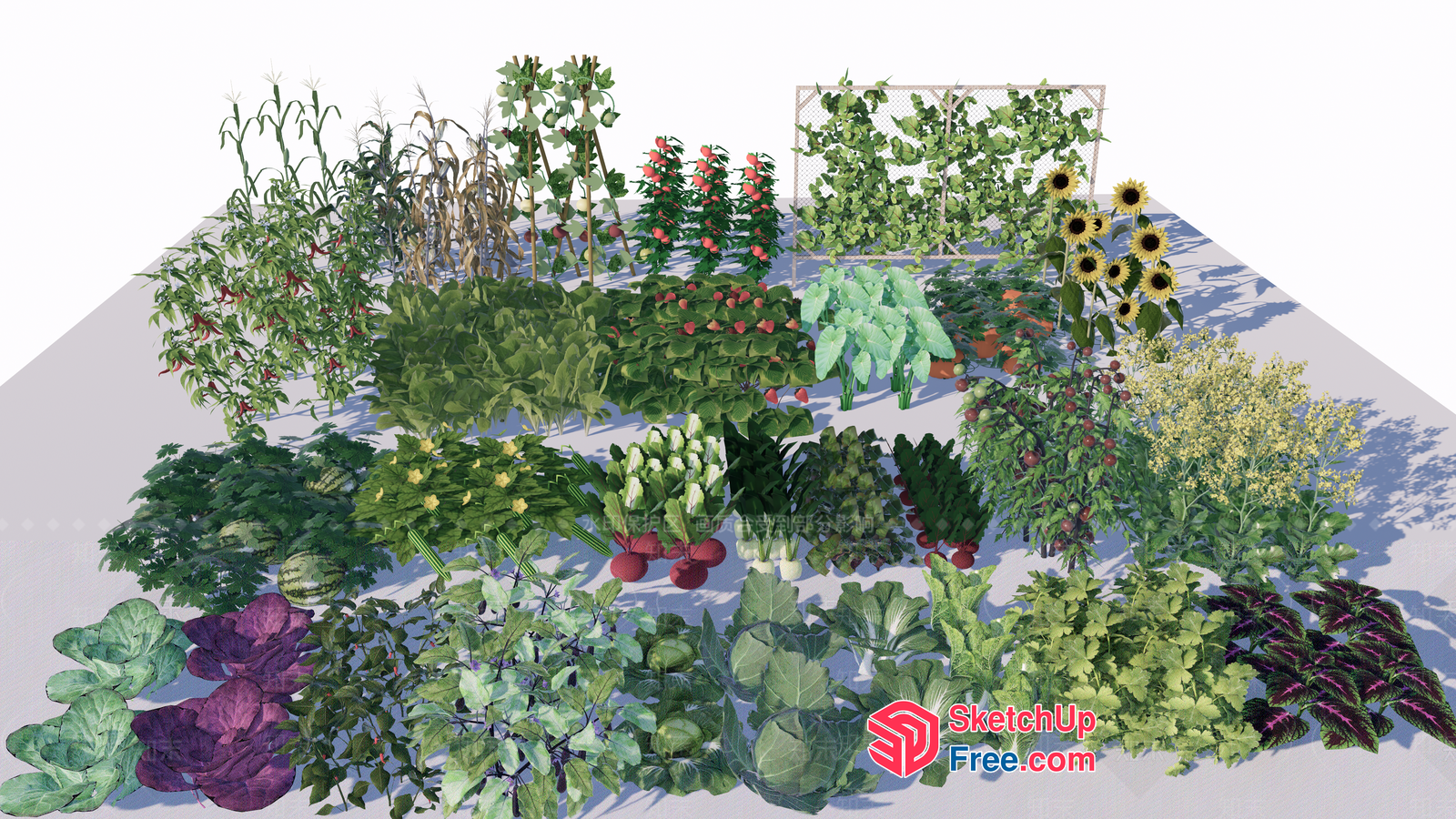 3D Garden Plant Collection 3D SketchUp File