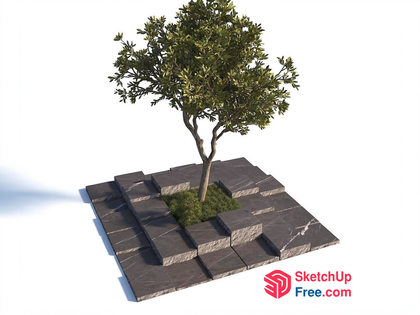 Tree On A Stone Platform 3D SketchUp File