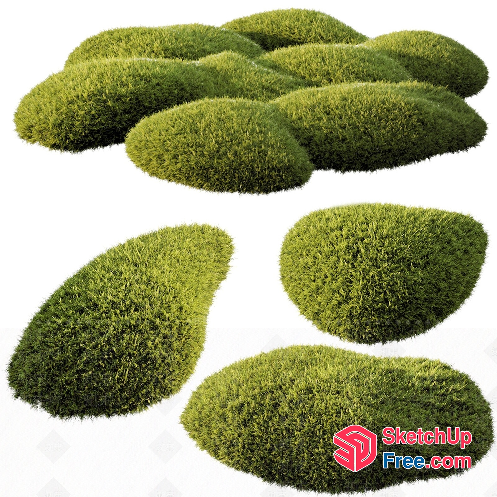 Grassy Oval Shapes 3D SketchUp File