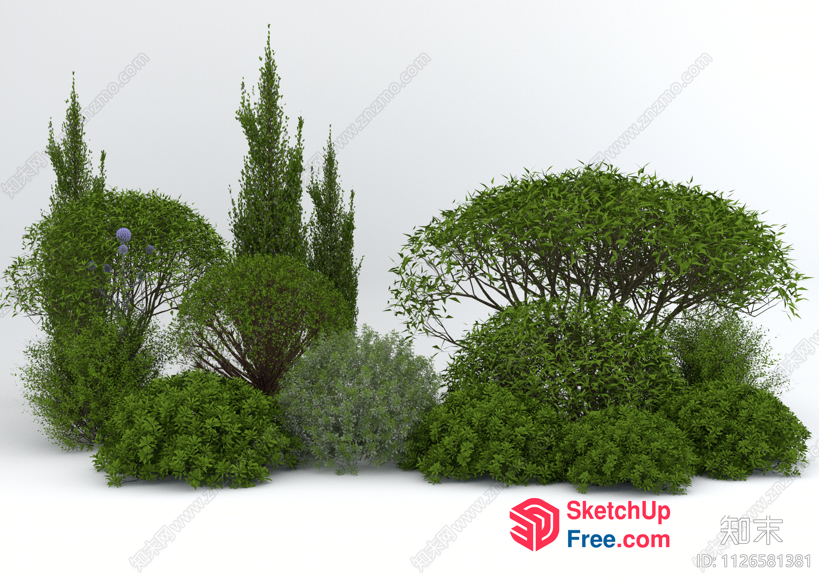 3D Rendering Of Various Plants 3D SketchUp File