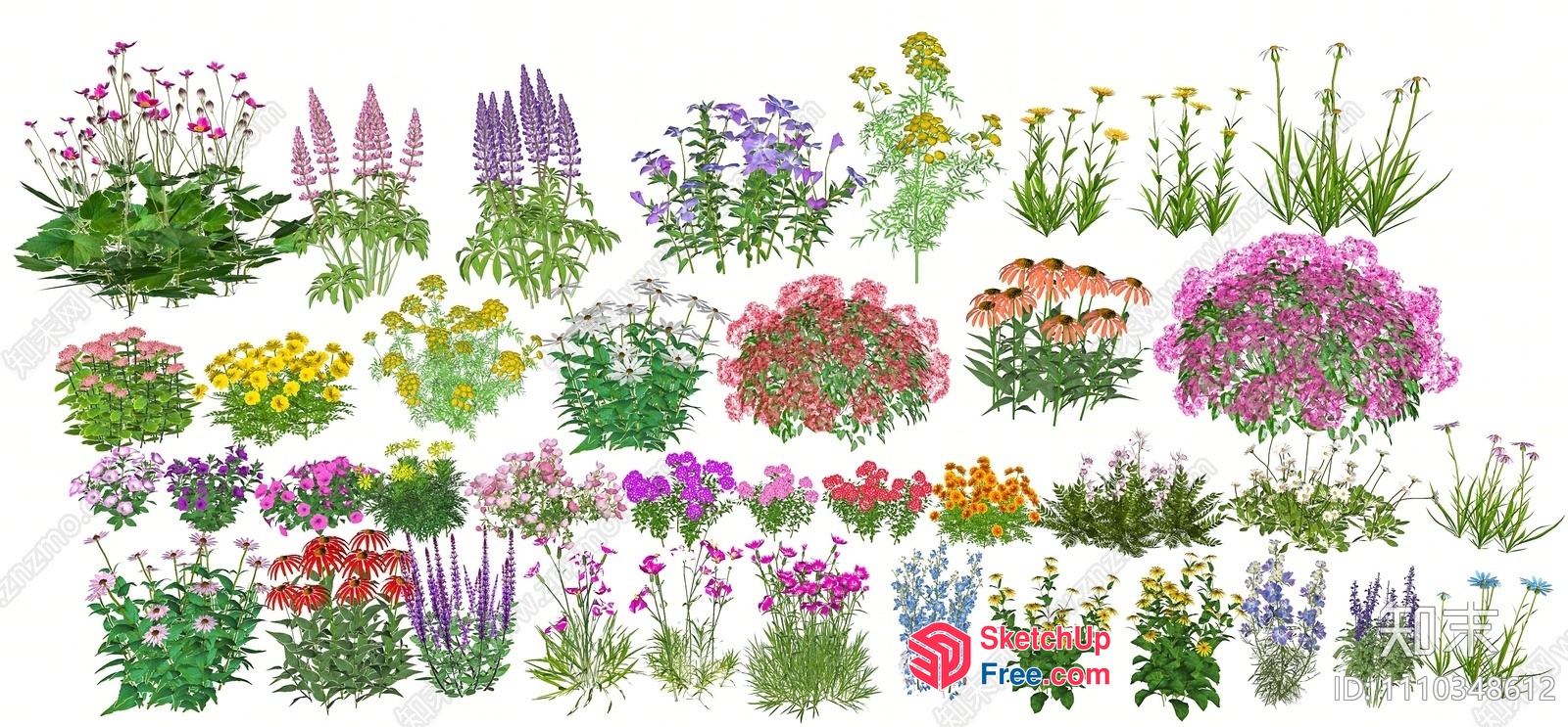 A Collection Of Various Flowers 3D SketchUp File