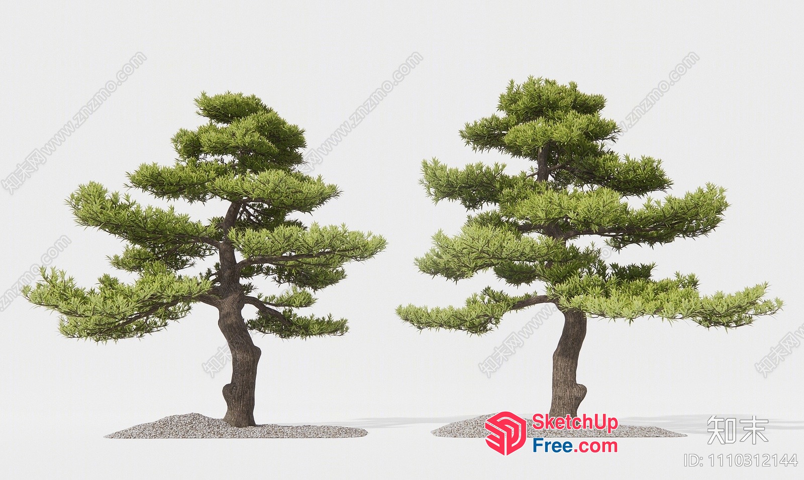 Two Trees On A Gravel Base 3D SketchUp File