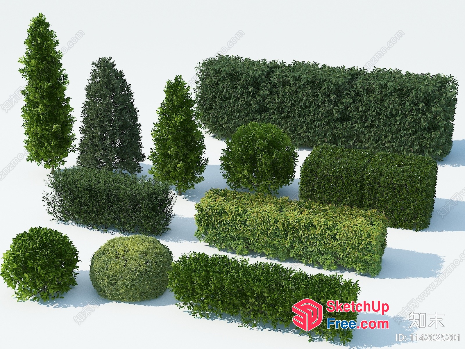 Greenery Arrangement 3D SketchUp File