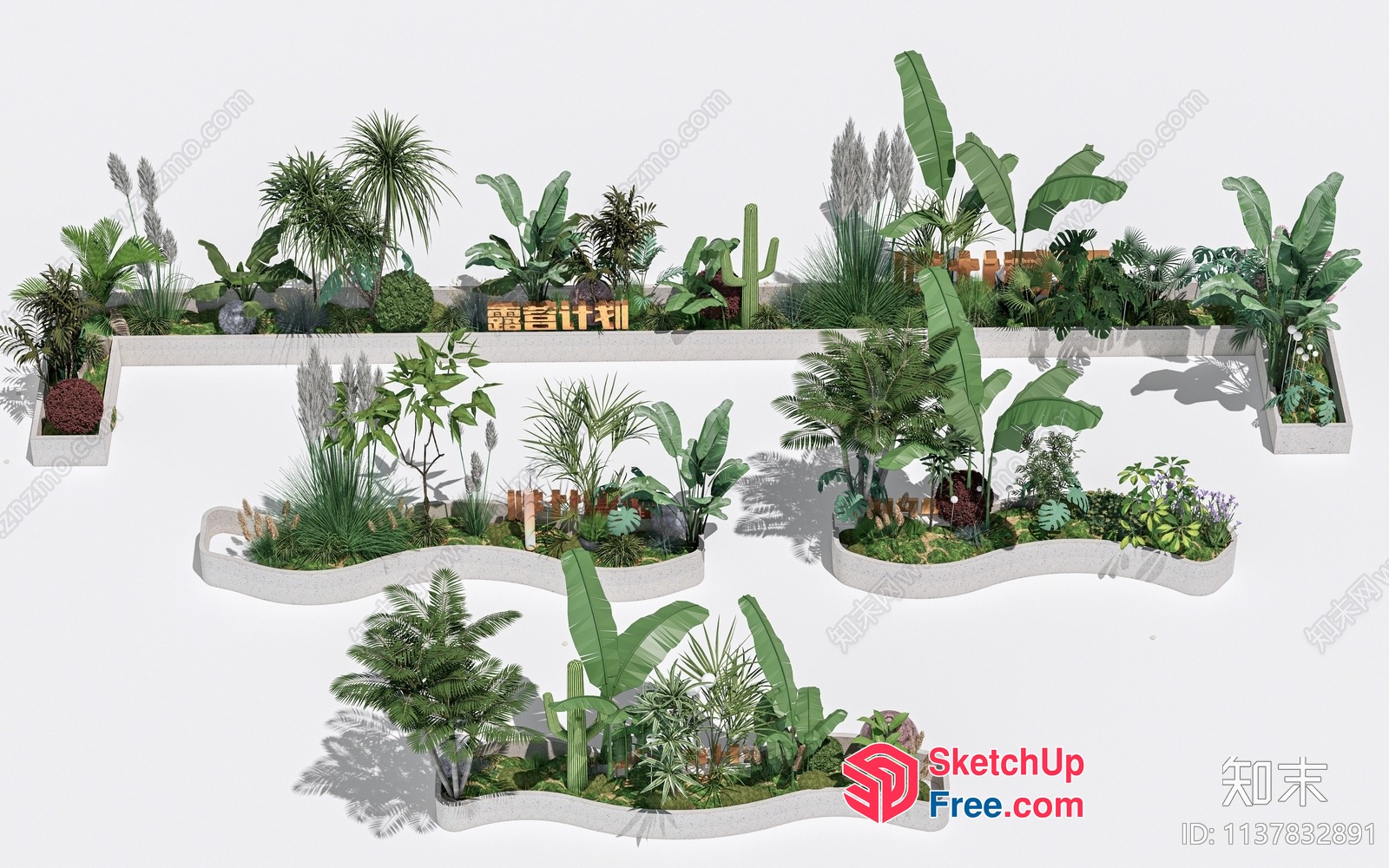 Exotic Tropical Plant Arrangement 3D SketchUp File