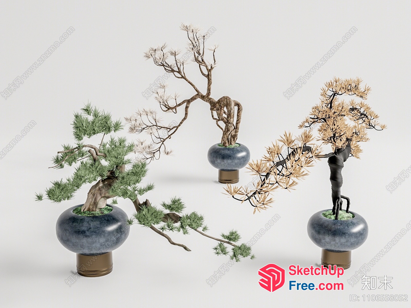 Elegant Japanese-Style Trees In Potted Decor 3D SketchUp File