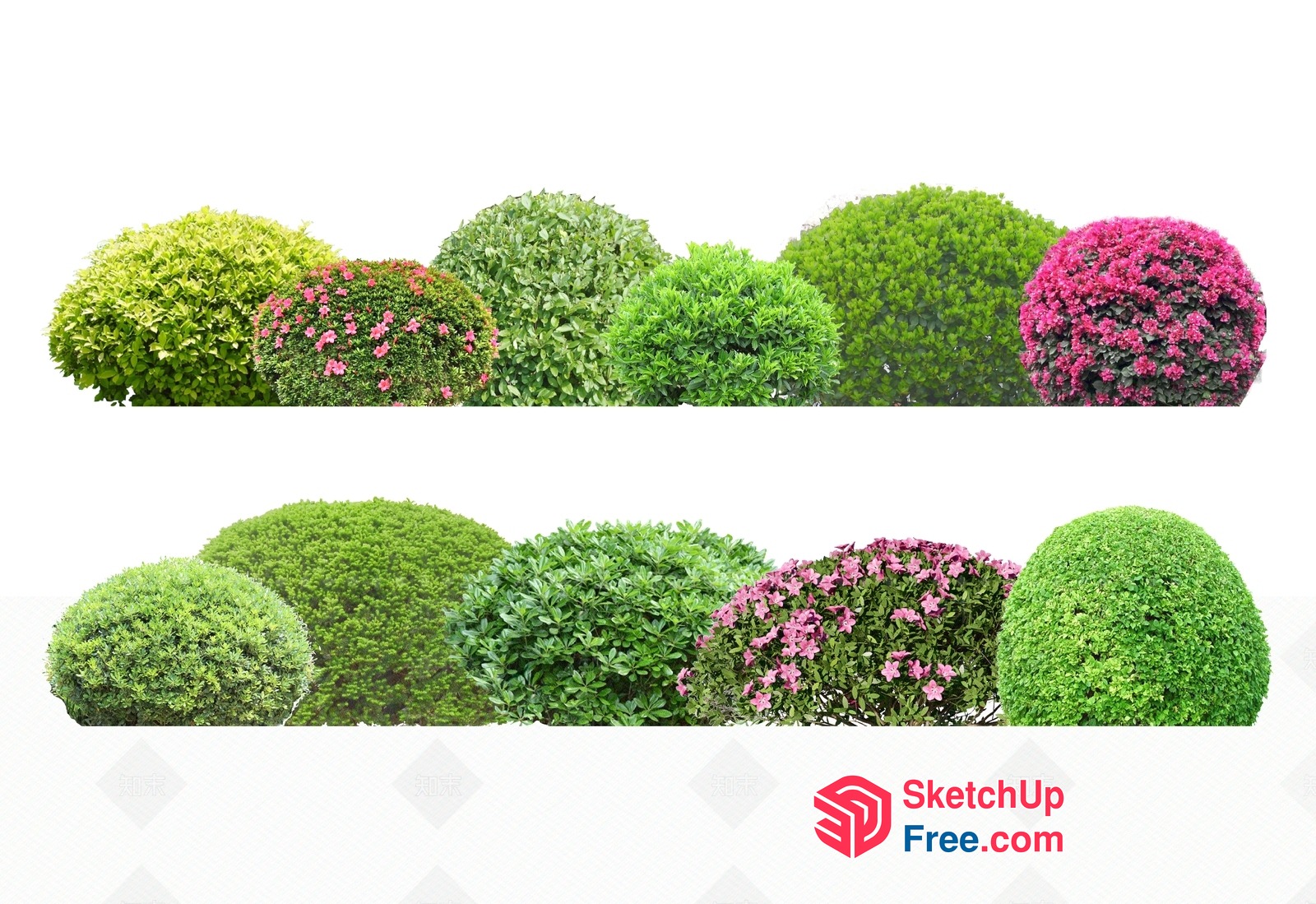 Luxurious Greenery And Floral Arrangement 3D SketchUp File