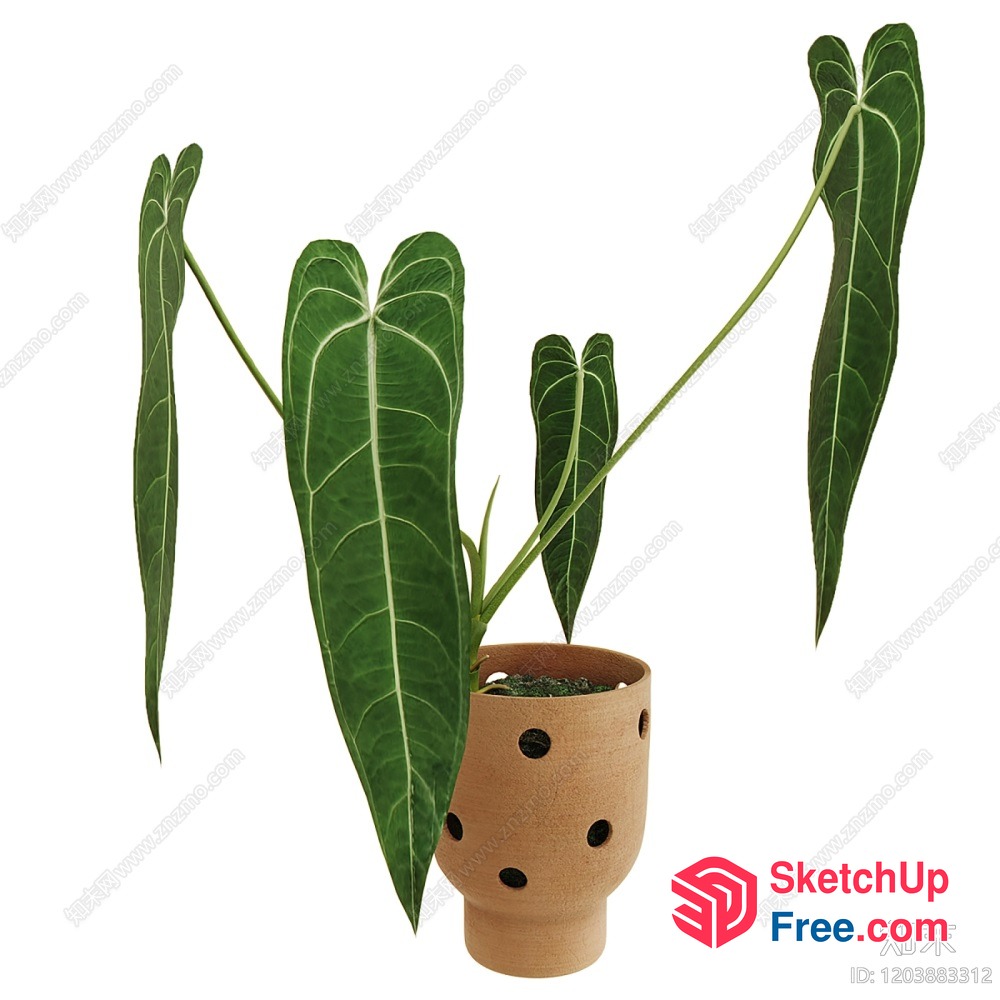 Potted Plant With Green Leaves 3D SketchUp File