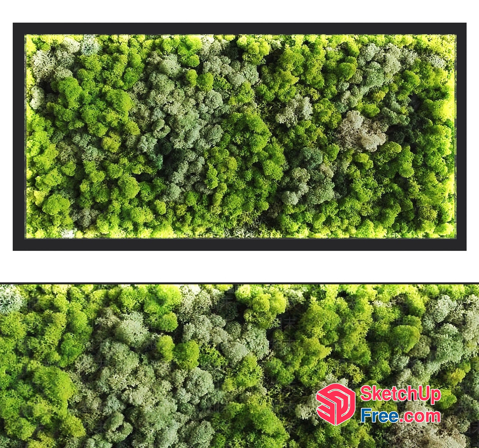 Lush Greenery Interior Design 3D SketchUp File