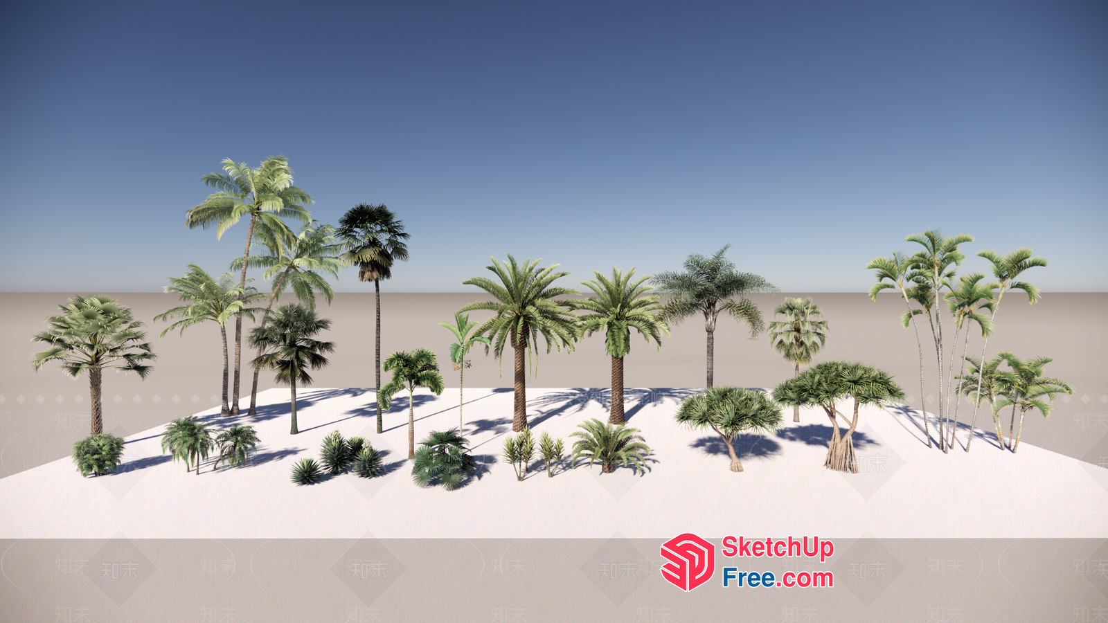 Tropical Palm Tree Island Scene 3D SketchUp File