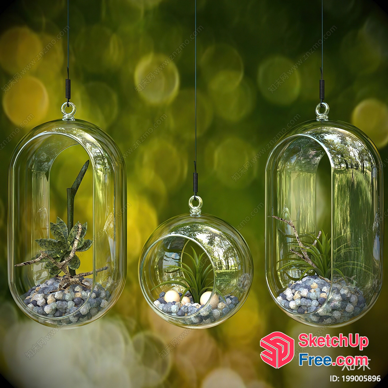 Three Glass Terrariums With Plants And Rocks 3D SketchUp File