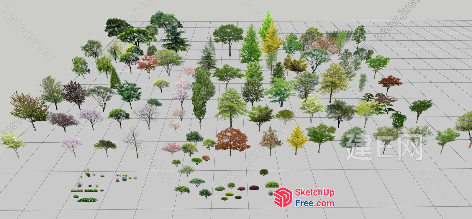 3D Rendered Trees In Various Styles 3D SketchUp File