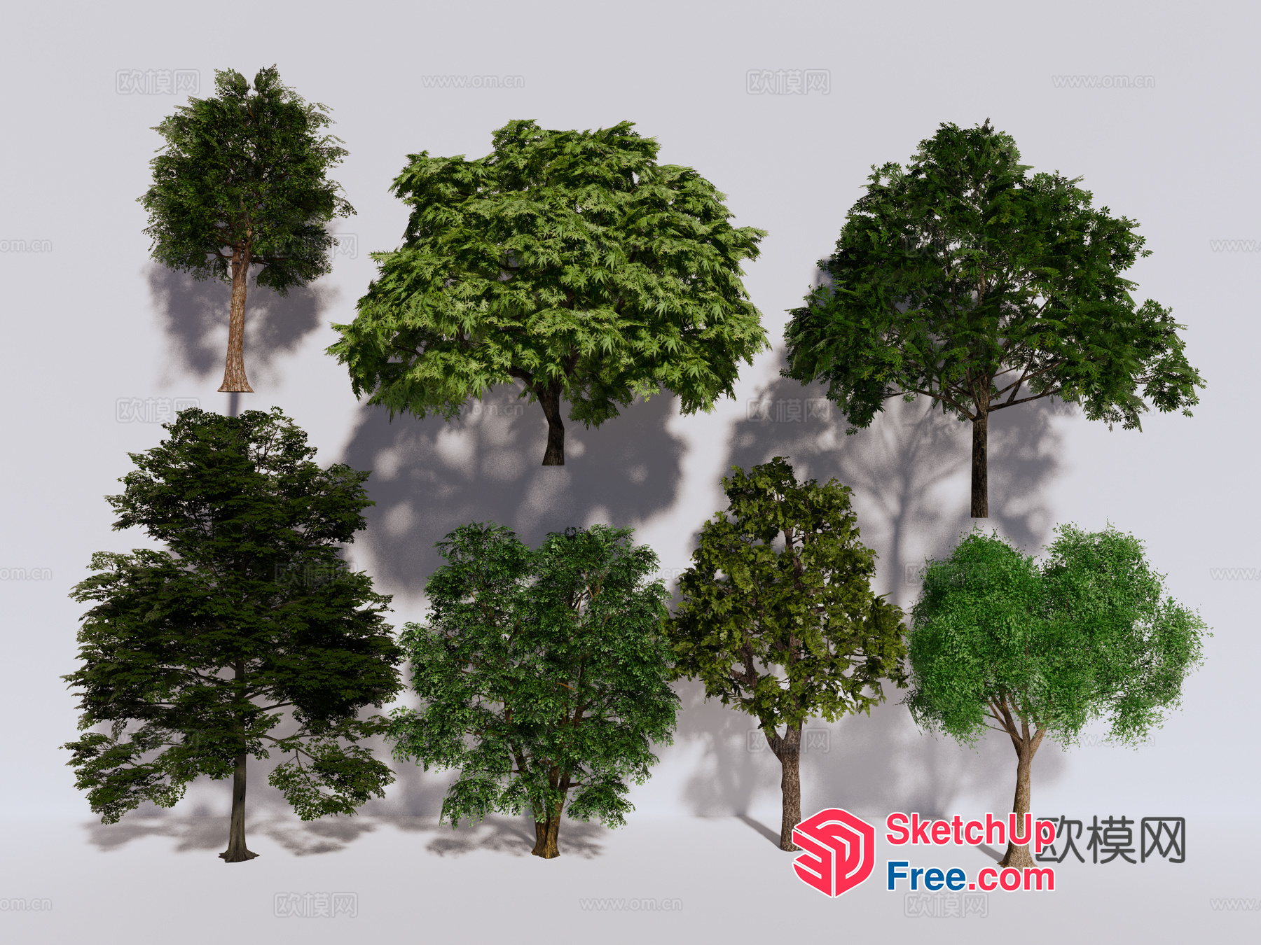 3D Rendered Tree Collection 3D SketchUp File