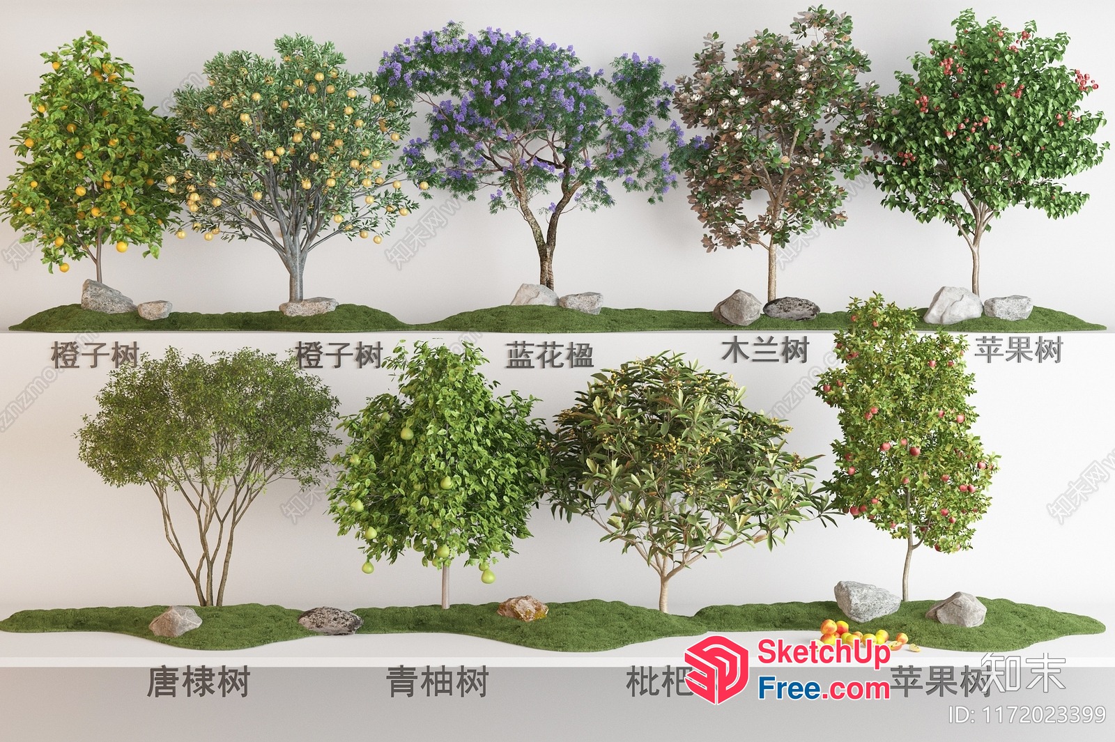 Tree Varieties In A Garden Setting 3D SketchUp File