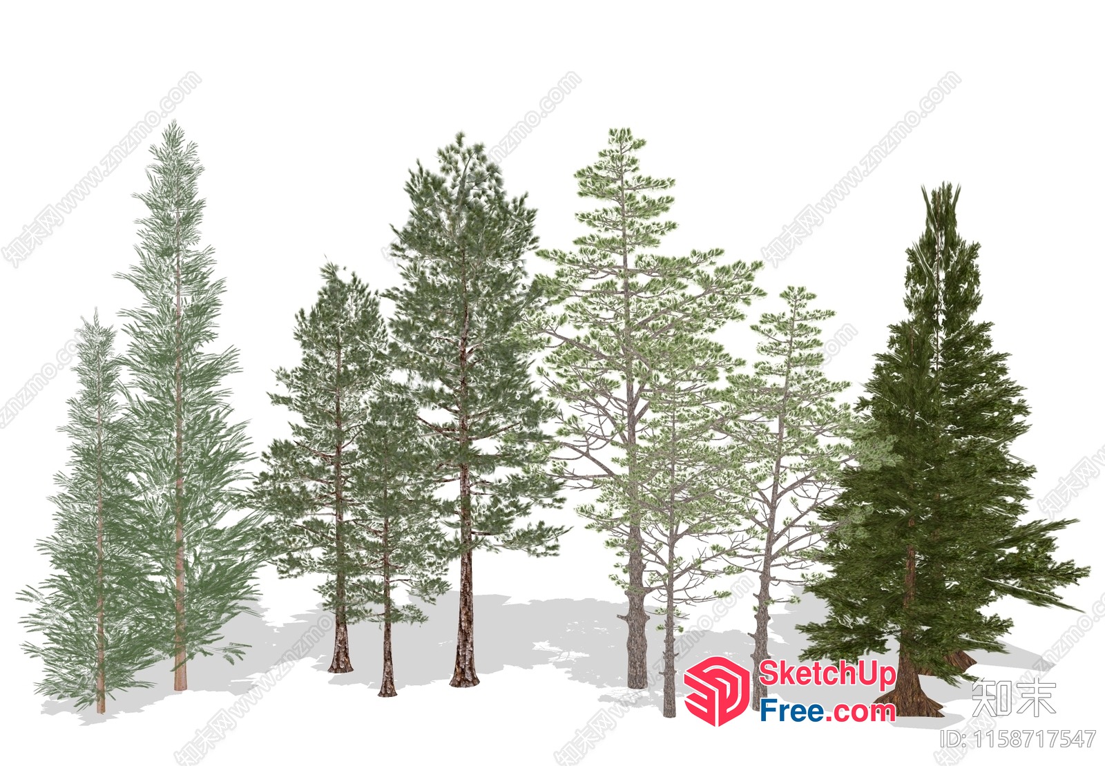 Group Of Trees In Various Sizes And Shapes 3D SketchUp File