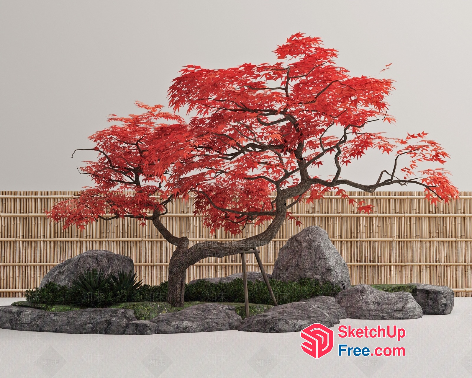 Japanese Inspired Exterior Decor With Red Maple Tree 3D SketchUp File