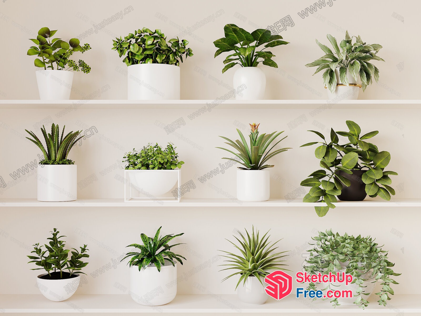 Potted Plants Displayed On White Shelves 3D SketchUp File