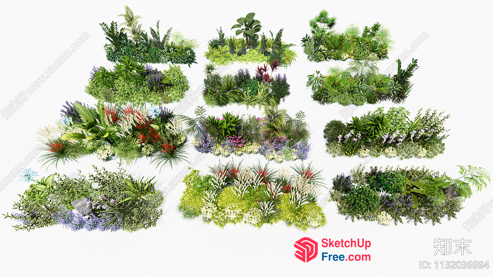 Colorful Garden Plants 3D SketchUp File