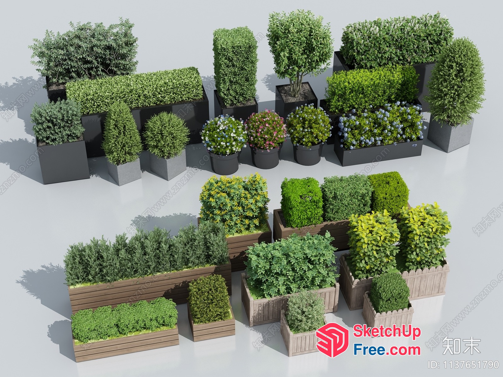 Various Green Plants In Different Pots 3D SketchUp File