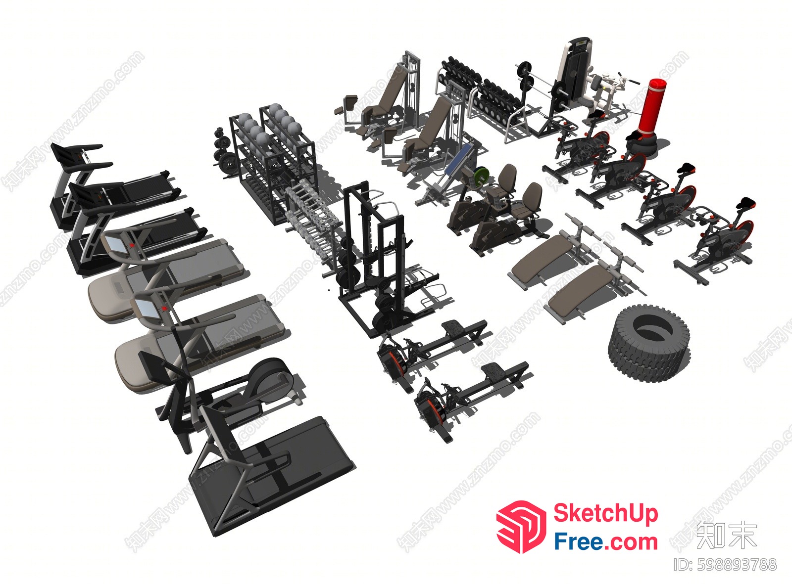 3D Rendering Of Various Gym Equipment 3D SketchUp File
