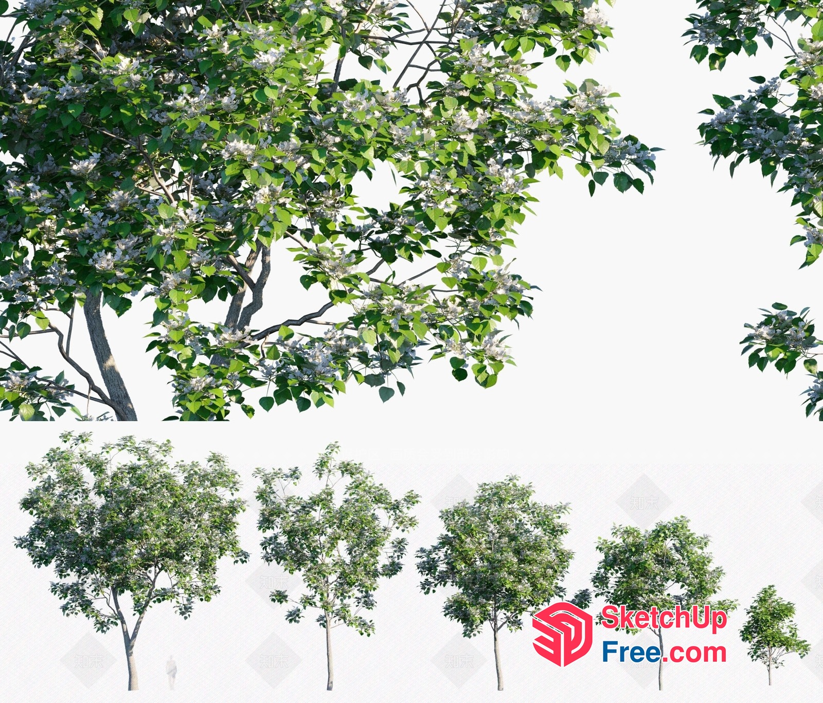 Lush Greenery With Vibrant Flowers 3D SketchUp File