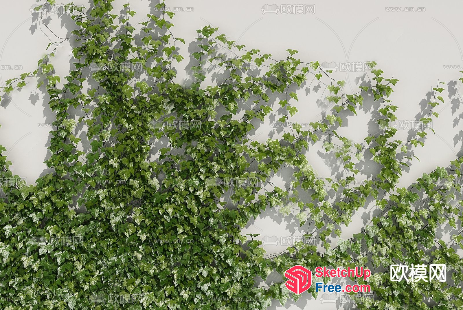 Ivy-Covered White Wall 3D SketchUp File