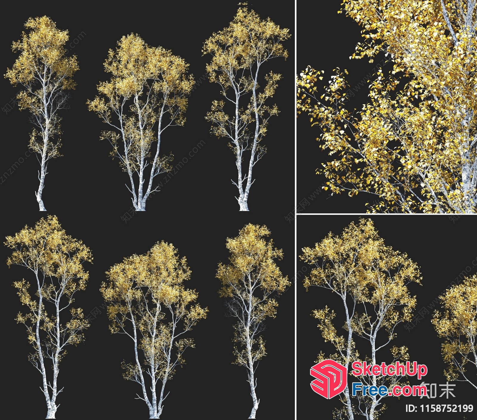 3D Models Of Trees With Yellow Leaves 3D SketchUp File