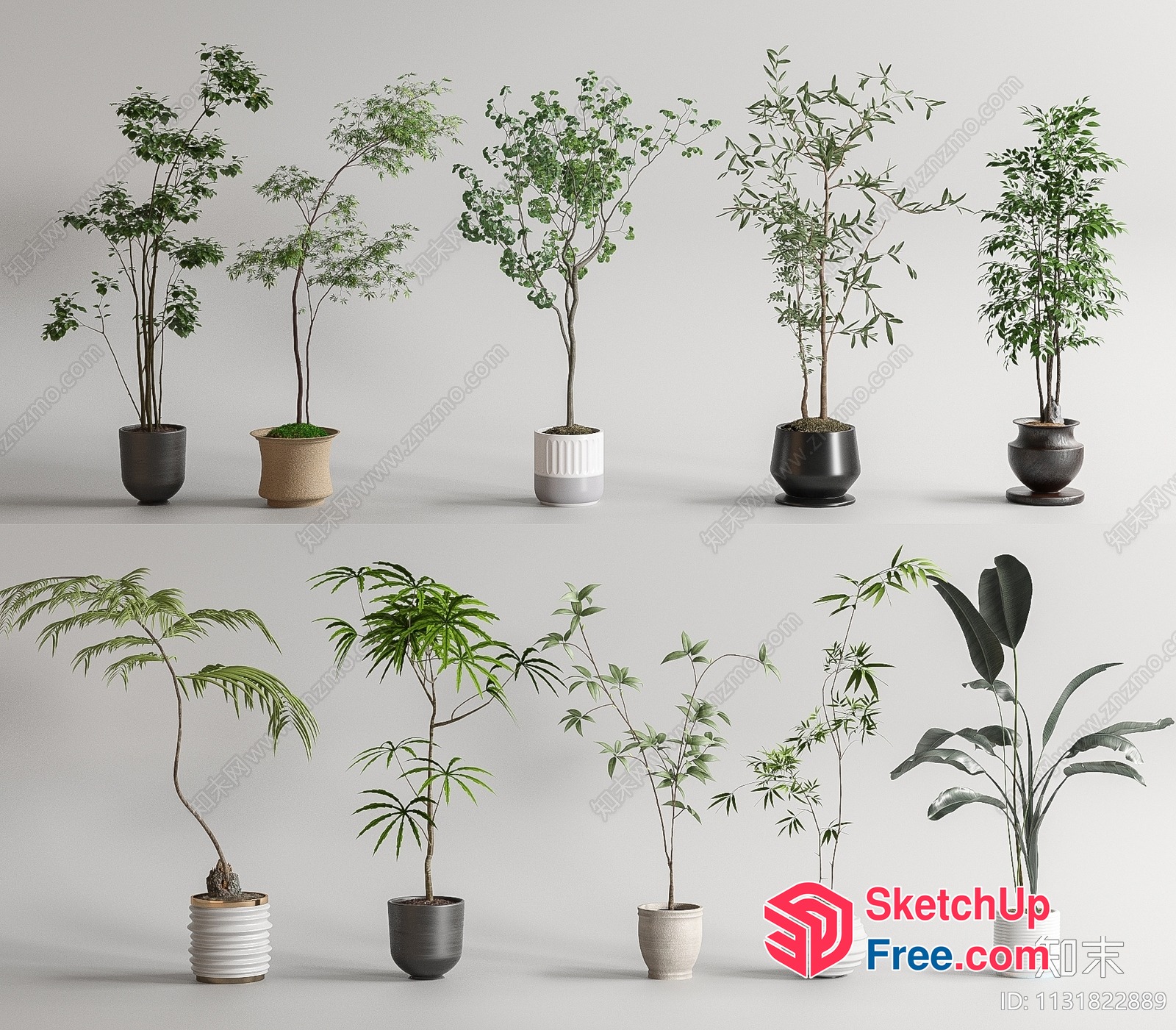 Potted Plants Collection 3D SketchUp File
