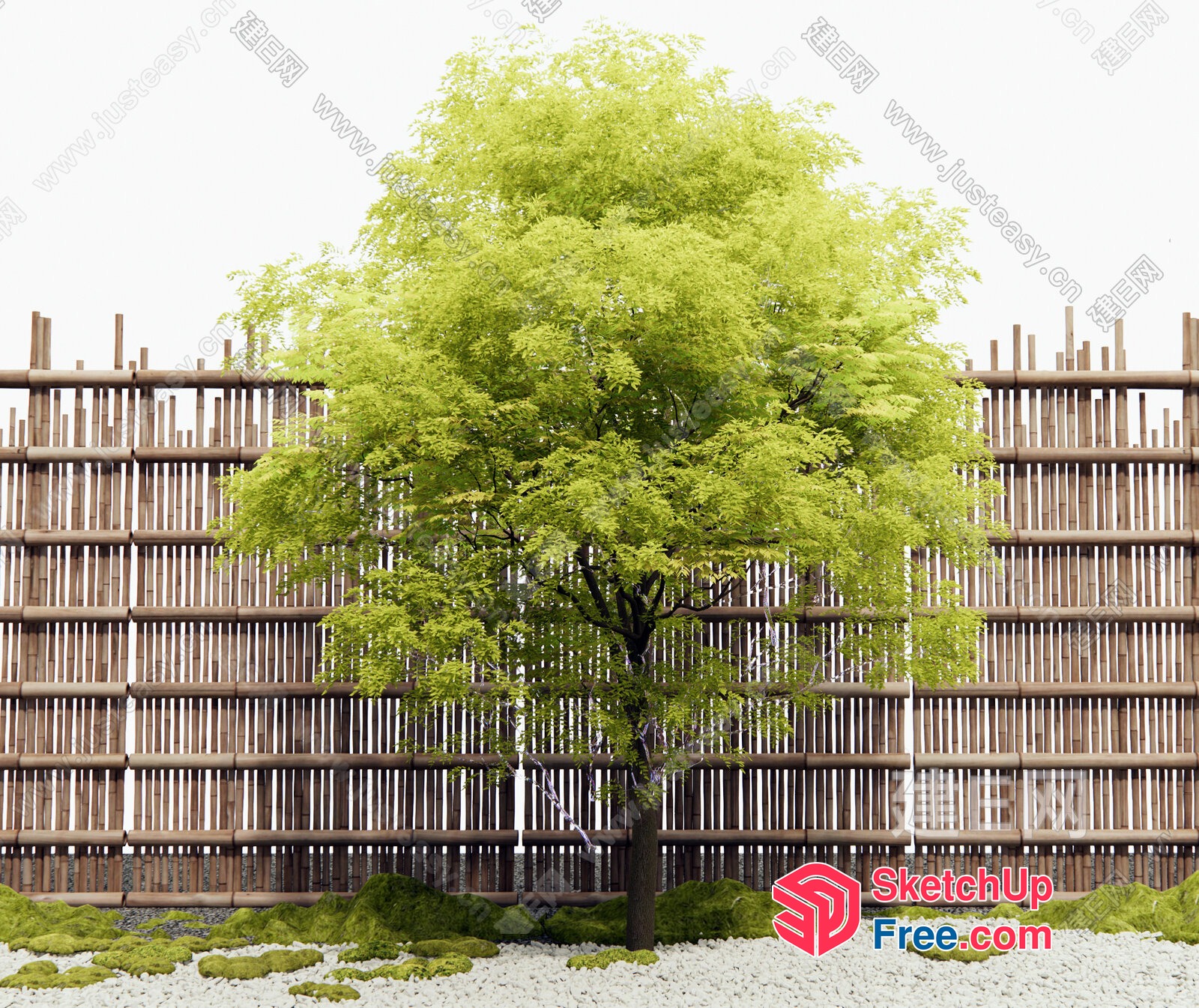 Bamboo Fenced Garden With A Tree 3D SketchUp File