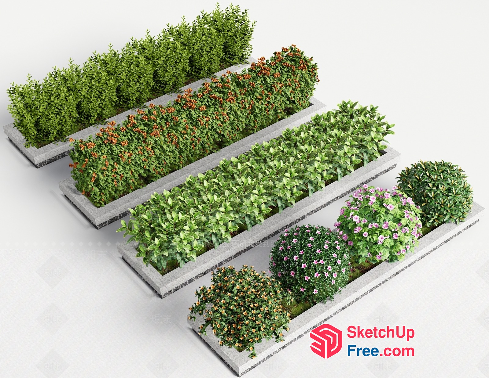 Decorative Planters For Various Plant Types 3D SketchUp File