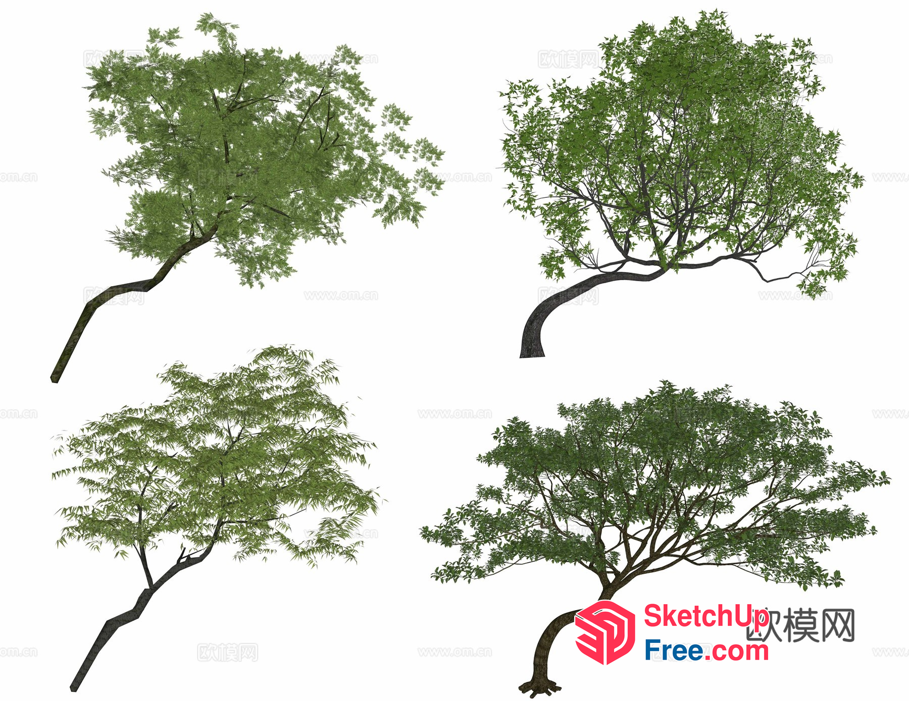 Four Green Trees 3D SketchUp File