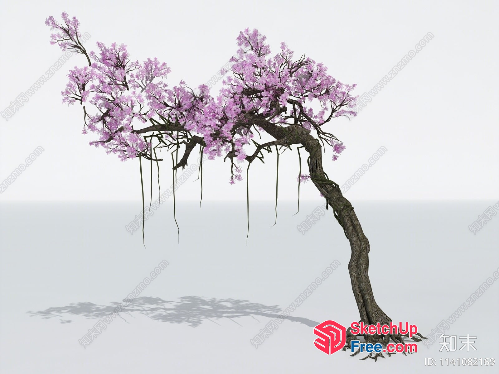 Elegant Tree With Delicate Pink Blossoms 3D SketchUp File