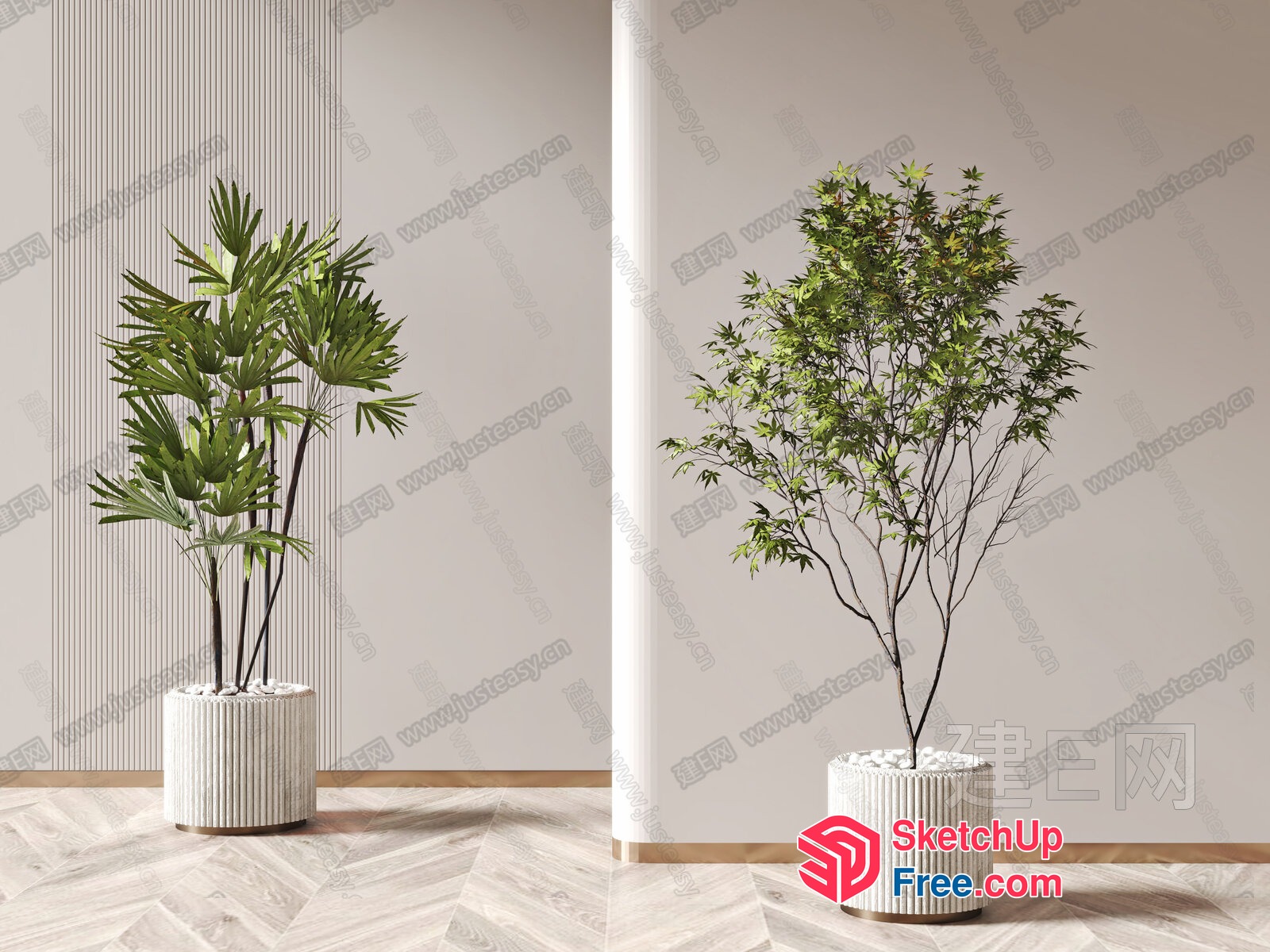 Modern Potted Plants In Stylish White Planters 3D SketchUp File