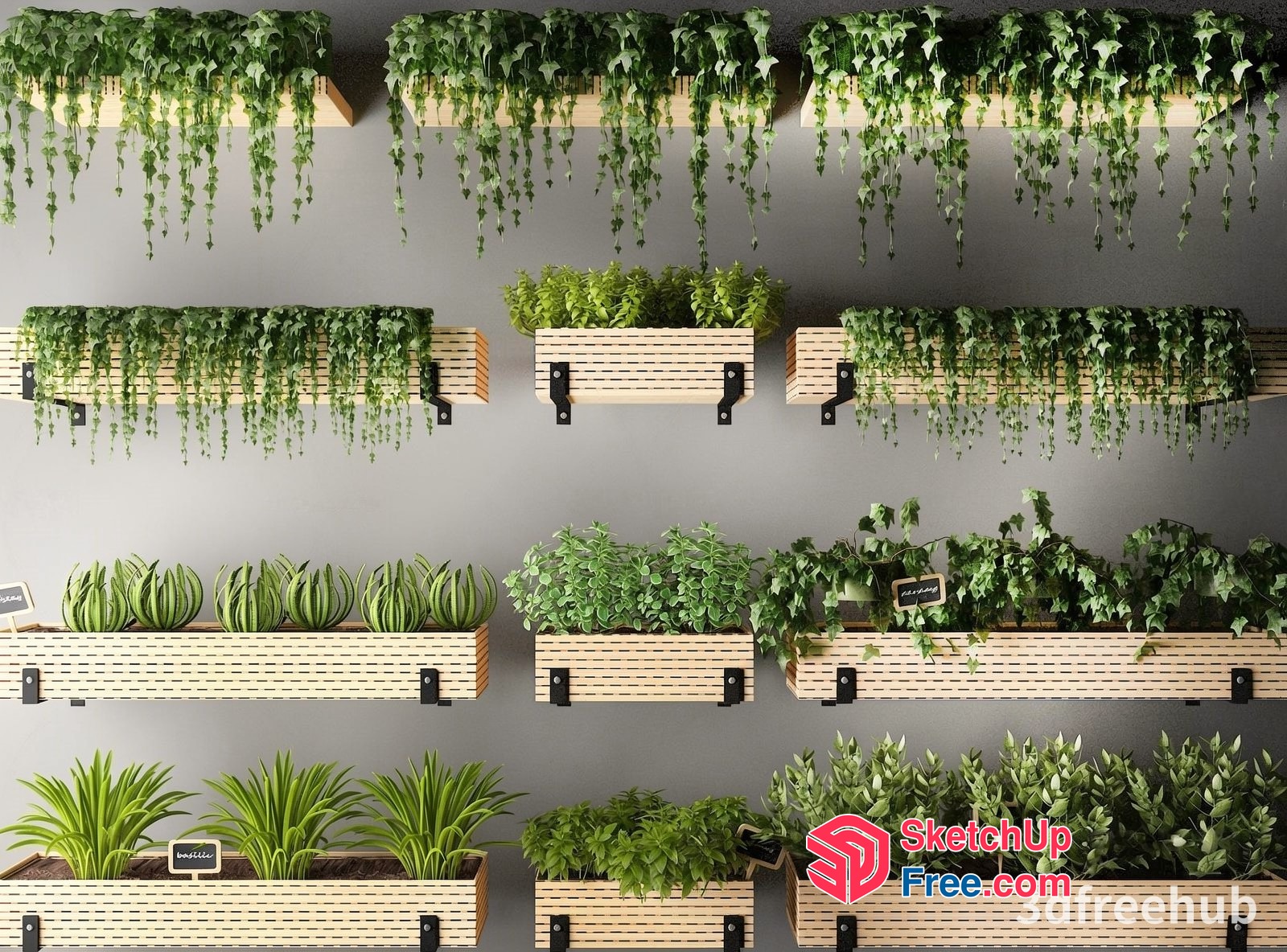 Green Wall Plants And Hanging Plants 3D SketchUp File