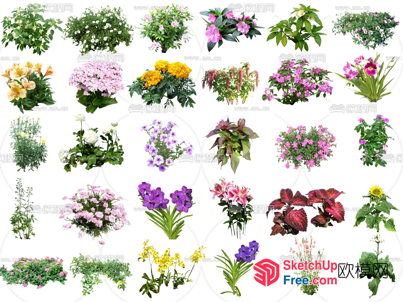 Exquisite Flower Arrangements In Various Styles 3D SketchUp File