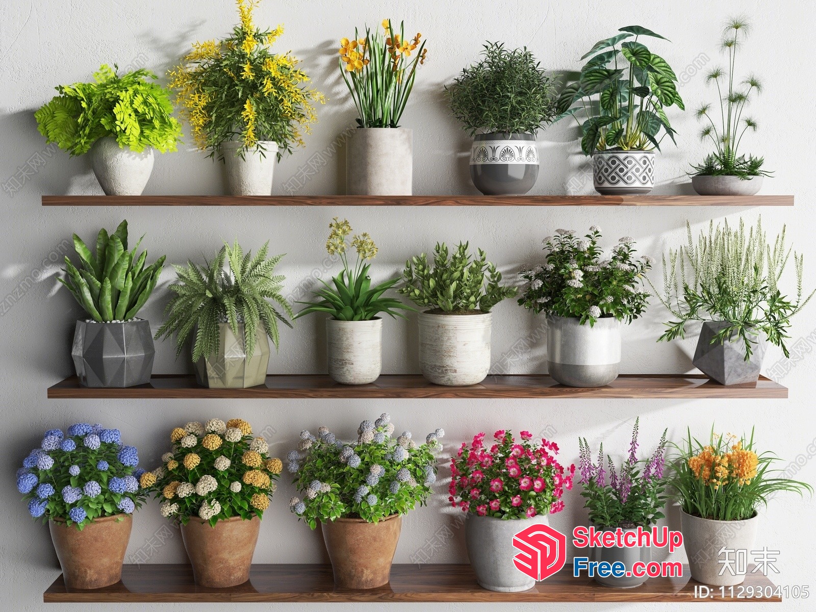Elegant Potted Plants On Wooden Shelves 3D SketchUp File