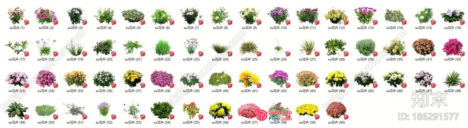 Collection Of Various Plants 3D SketchUp File