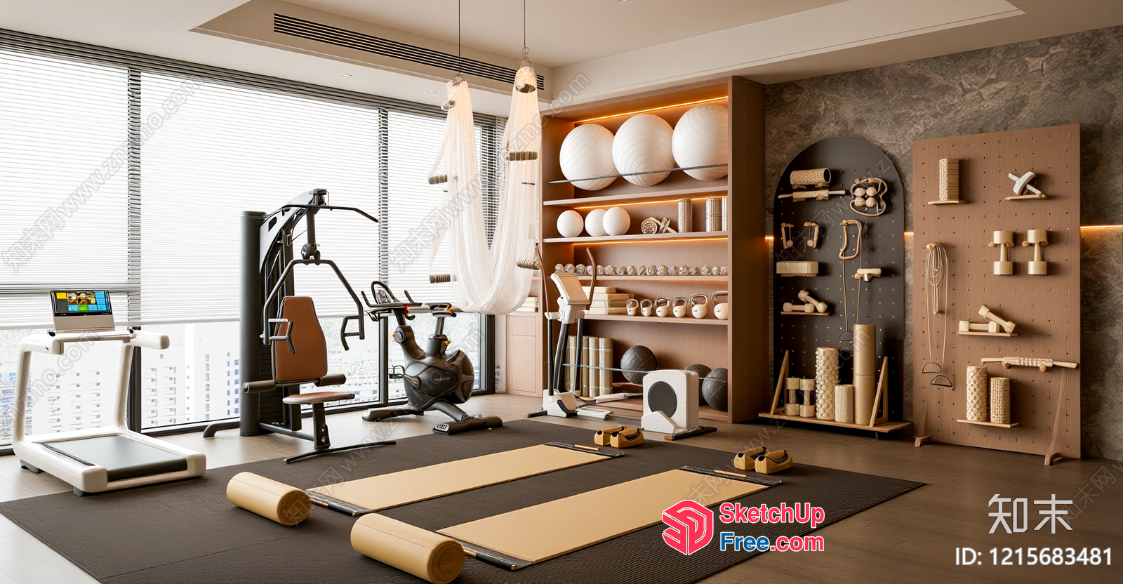 Modern Gym Interior With Natural Light 3D SketchUp File