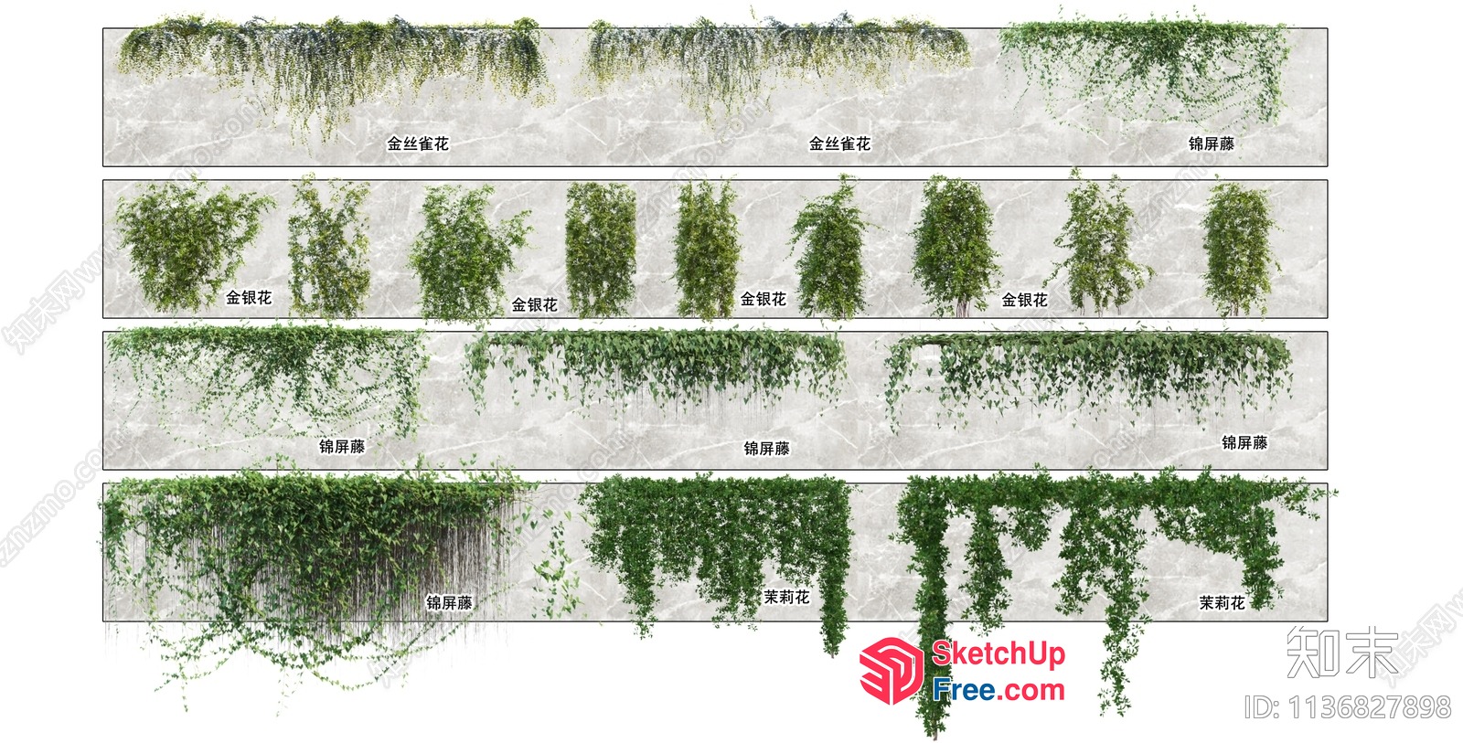 Greenery Wall Decorations 3D SketchUp File
