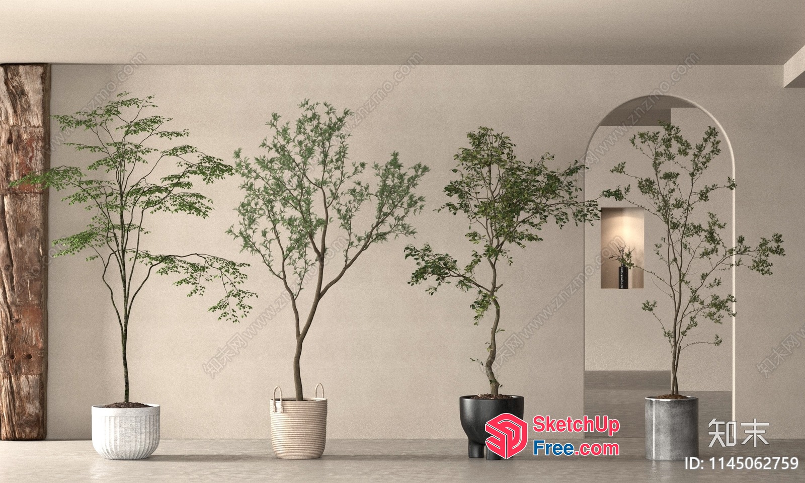 Elegant And Modern Potted Plants In A Sleek Interior Setting 3D SketchUp File