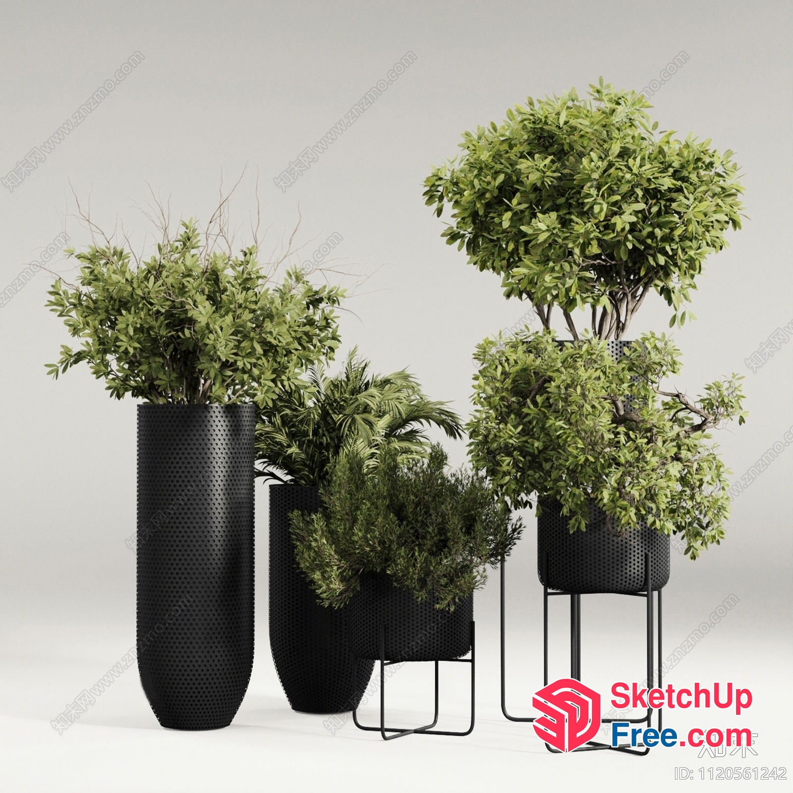 Modern Black Plant Pots And Plants 3D SketchUp File