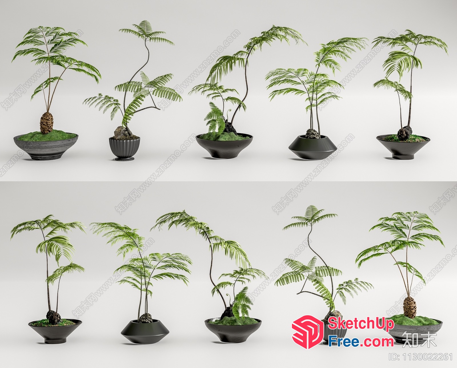 Small Potted Plants In Decorative Bowls 3D SketchUp File