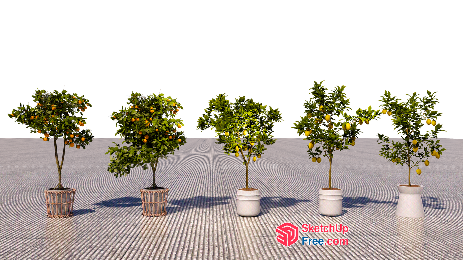 Five Potted Trees With Fruits 3D SketchUp File
