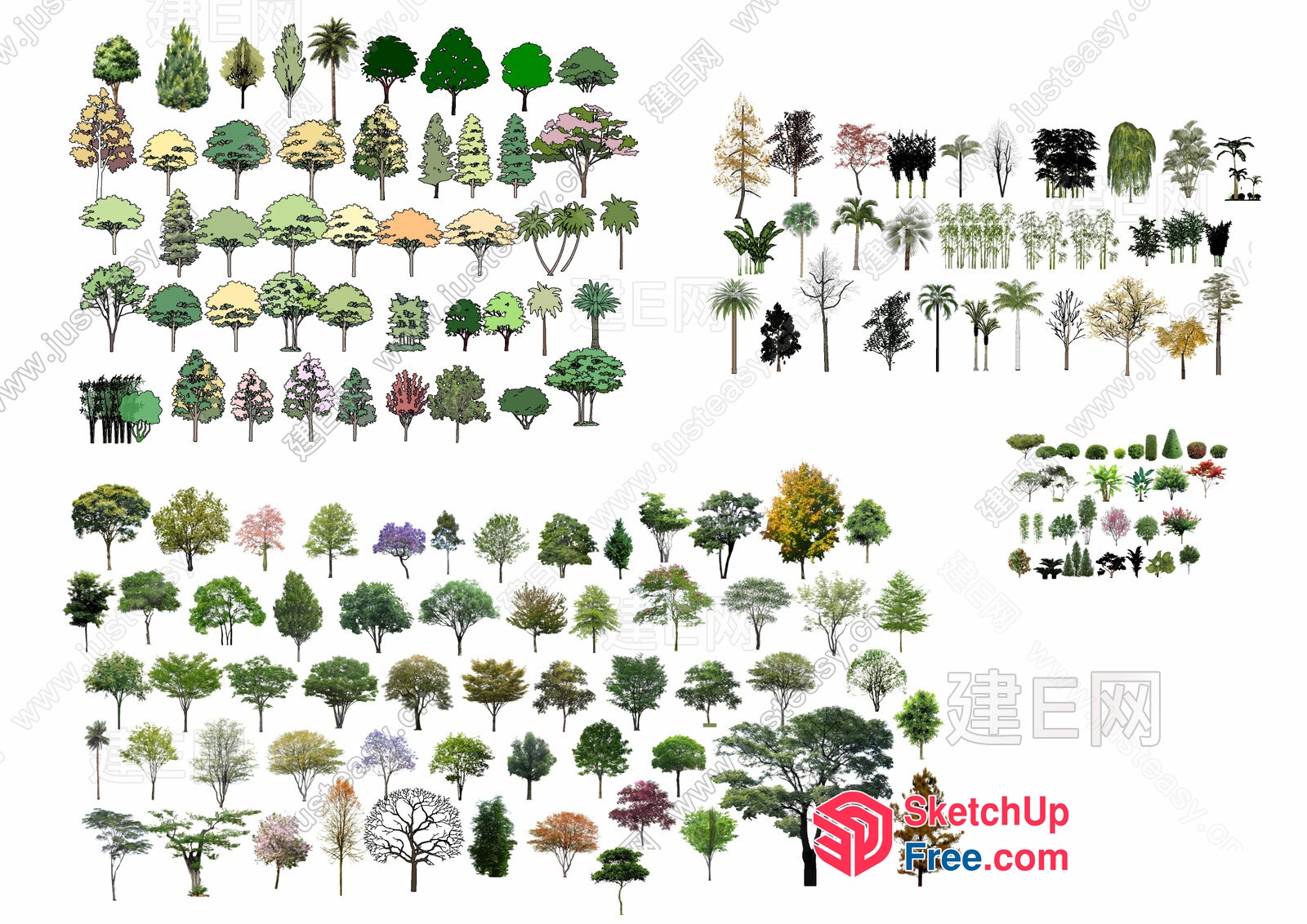 Various Trees In Different Styles And Sizes 3D SketchUp File