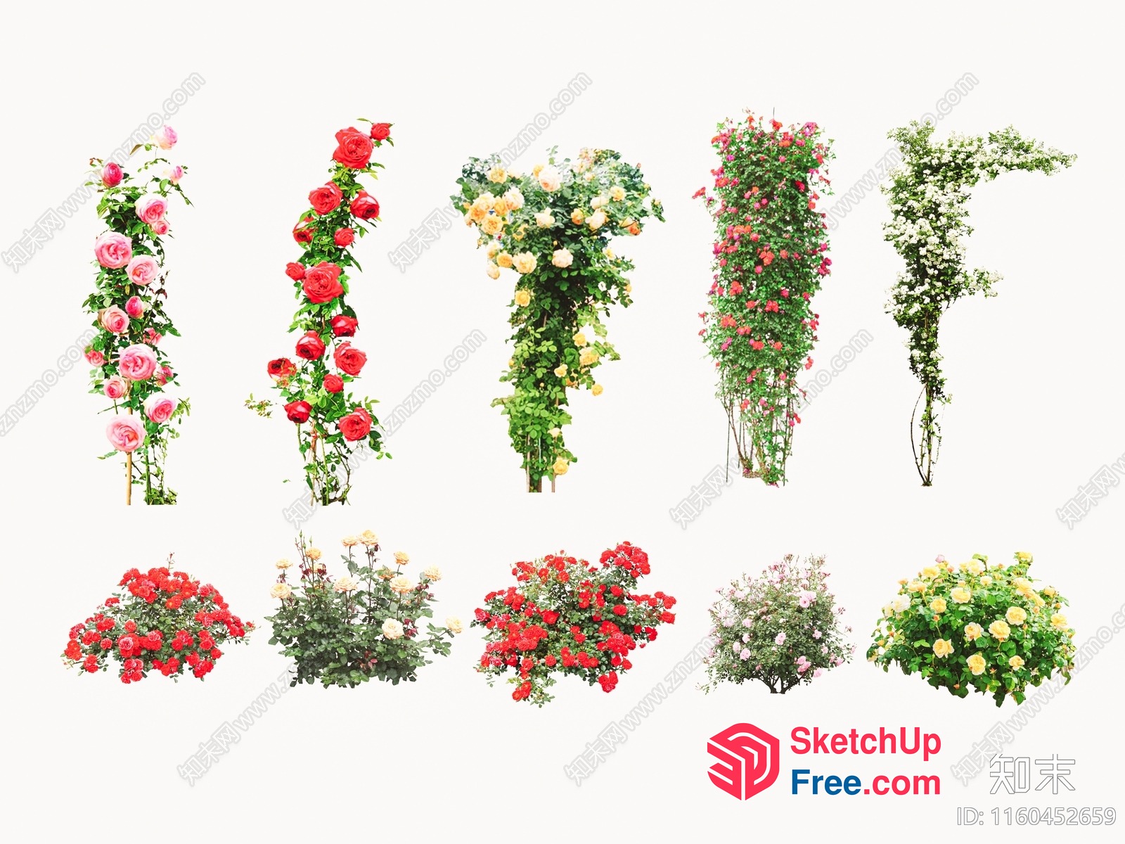Elegant Floral Arrangement Collection 3D SketchUp File